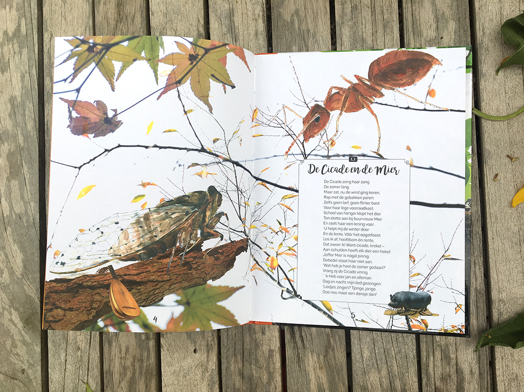 De nieuw geïllustreerde fabels van Jean de La Fontaine | Carlijn van