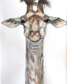 Girafe Periscope